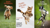 Okiem fotografa: o fotografowaniu psiaków, kociaków
