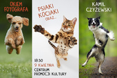 Okiem fotografa: o fotografowaniu psiaków, kociaków oraz...